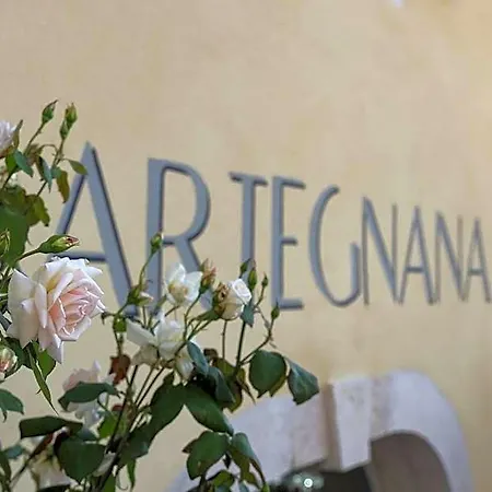 Artegnana 1798 4*